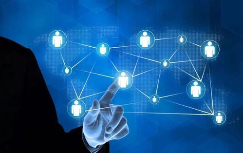 科技型中小企業(yè)評(píng)價(jià) 解鎖多重政策紅利，賦能網(wǎng)絡(luò)科技企業(yè)加速成長(zhǎng)